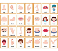 Learning cards for body parts and high-frequency words, 15 cards, 28 words.