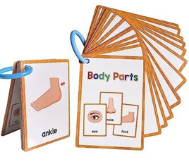 Learning cards for body parts and high-frequency words, 15 cards, 28 words.