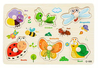 Wooden Montessori puzzle with fruit, ocean, insects and transport, 4 in 1.