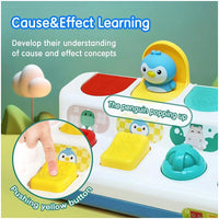 Early Development Pop-Up Cause and Effect Toy, Interactive Learning Toy with Animals and Vehicles.