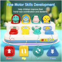 Early Development Pop-Up Cause and Effect Toy, Interactive Learning Toy with Animals and Vehicles.